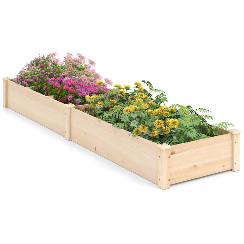 Raised Open-Ended Base Garden Bed with 2 Planter Boxes Divider
