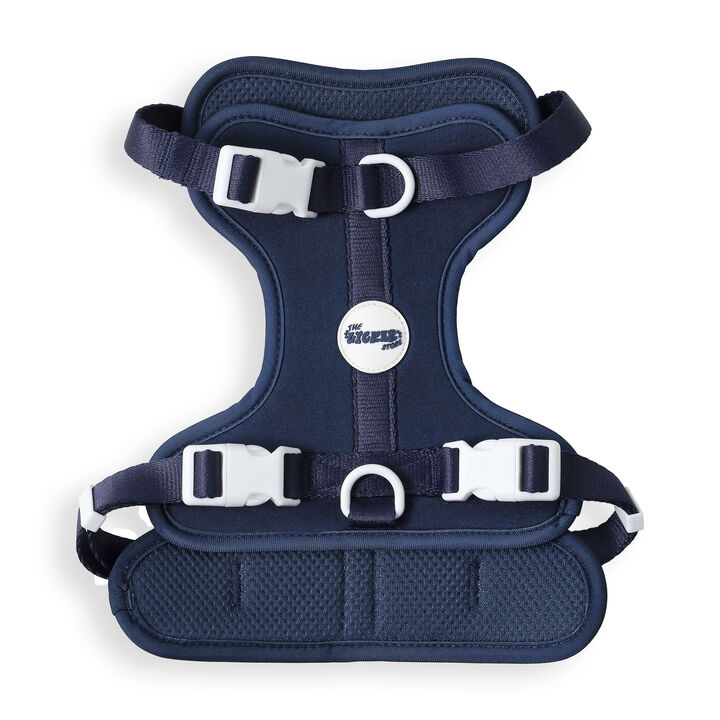 Arlo Adjustable Soft Padded No Pull Pet Harness with 3 Buckles and 3 Leash Clips