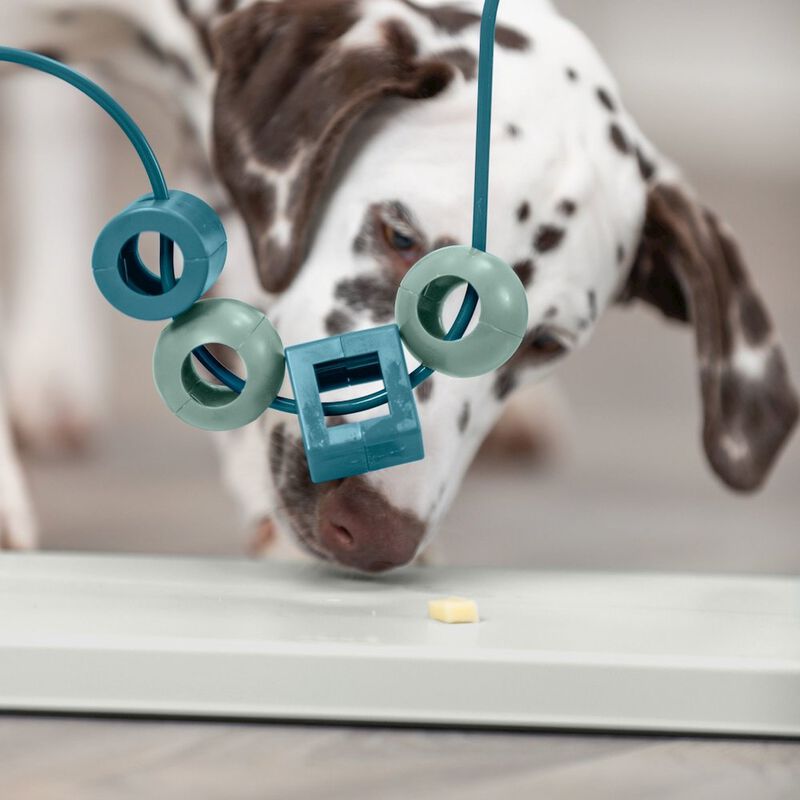 TRIXIE Dog Activity Skills Loop Strategy Game, Level 4 Advanced Food Puzzle image number 1
