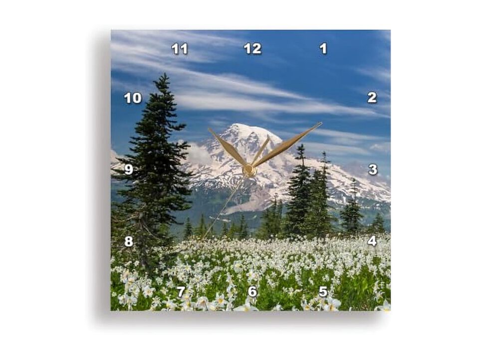 Washington Mount Rainier National Park Wall Clock 15 Inch Silent Home Decor