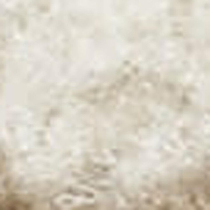 HomeRoots Abstract Non Skid Area Rug