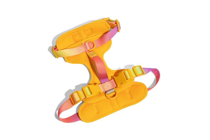 Kenna Dog Harness image number 0