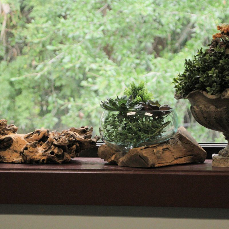 Molten Glass on Teak Driftwood Sculptural Bowl, Vase, Terrarium image number 5