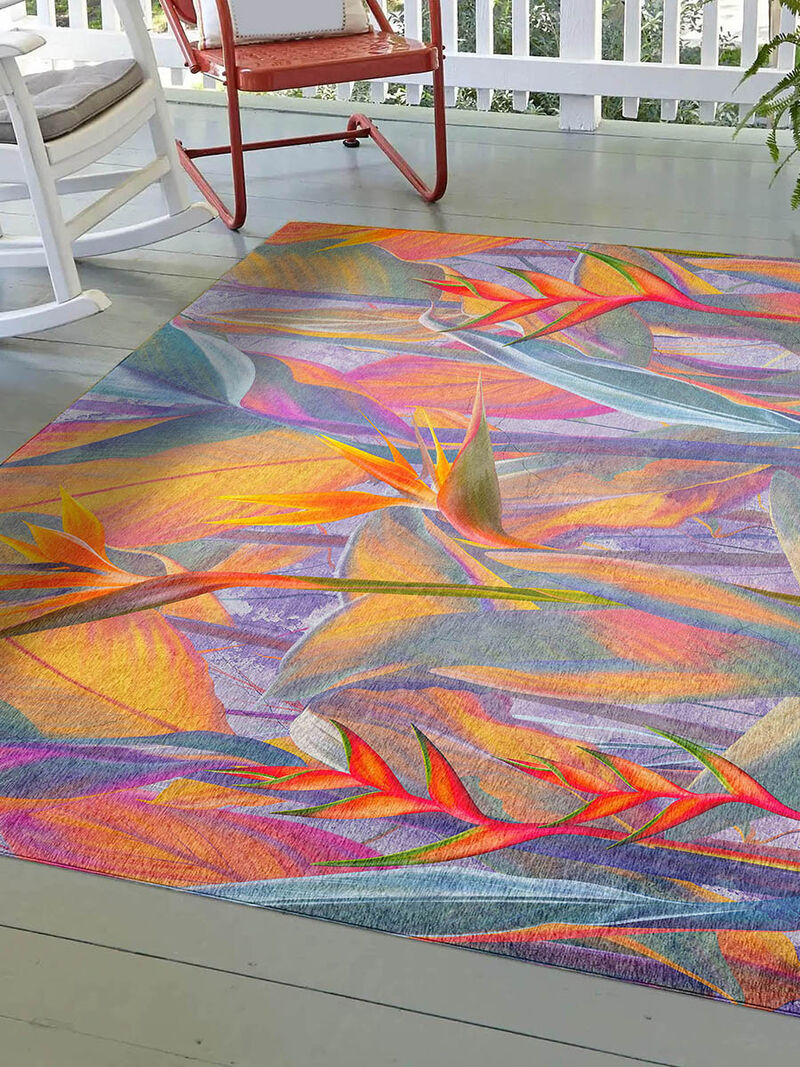 Tropics TC14 Collection