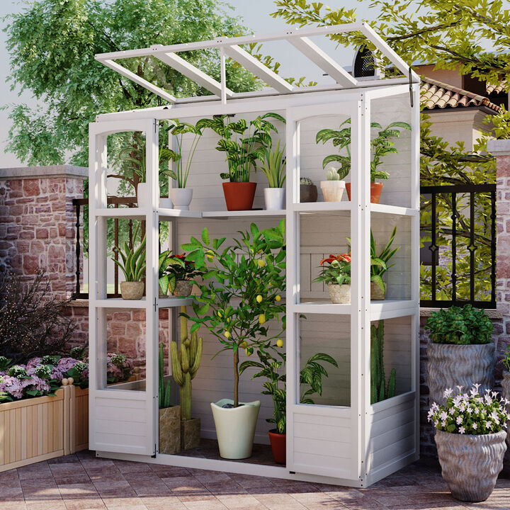 Streamdale 78'' Wooden Greenhouse Cold Frame with Skylights, Shelves