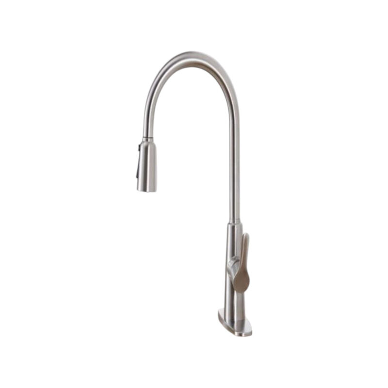 Brushed Nickel Kitchen Sink Faucet with Pull-Out Sprayer