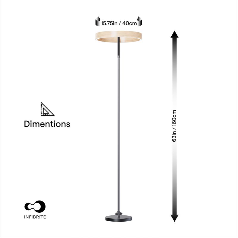 Modern 24W LED Floor Lamp 63 in. - 2700K Warm Light- Angled Design in Matte Black