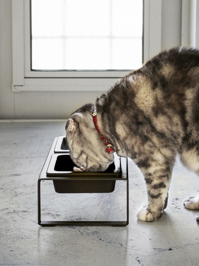 Pet Food Bowl - Two Styles