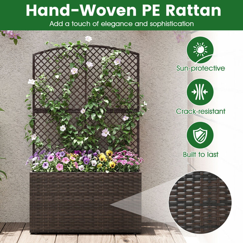 2 Pack Raised Planter Boxes with Trellis for Garden Backyard Patio and Balcony image number 7