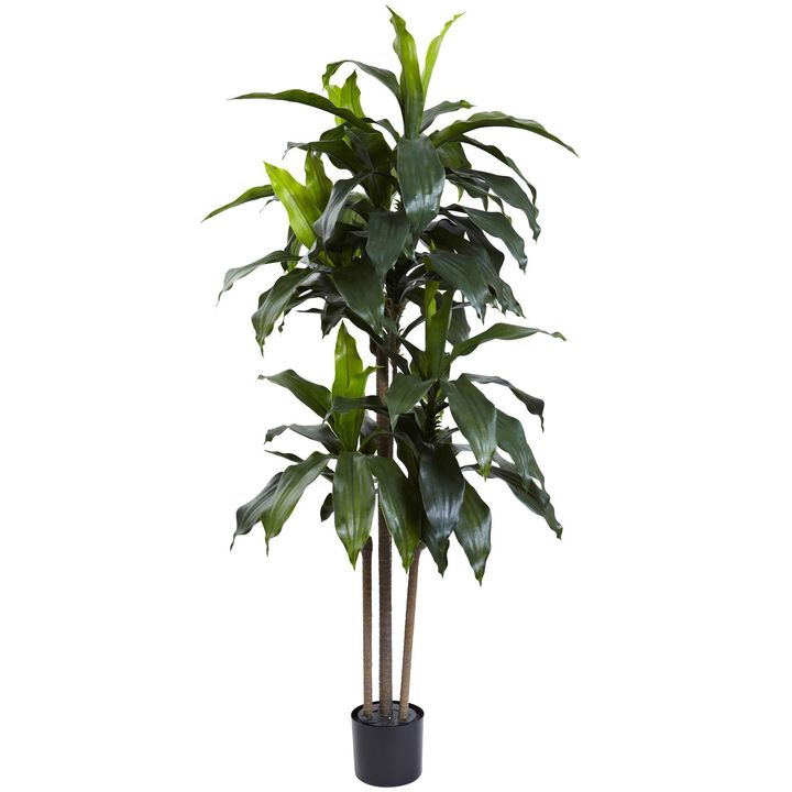 Nearly Natural 5-ft Dracaena Plant w/58 Lvs UV Resistant(Indoor/Outdoor)