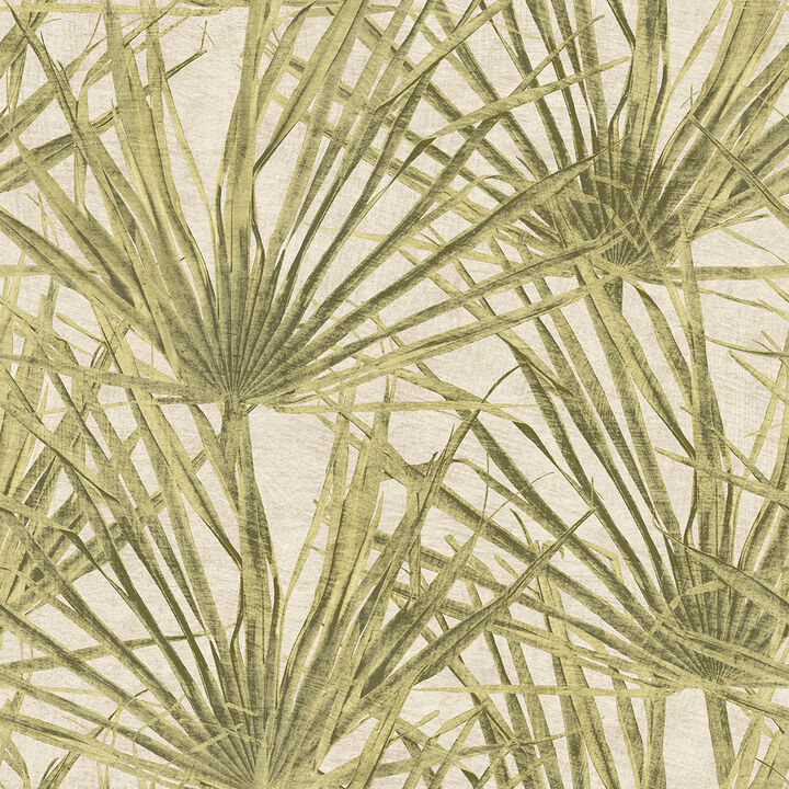 Palm Wallpaper
