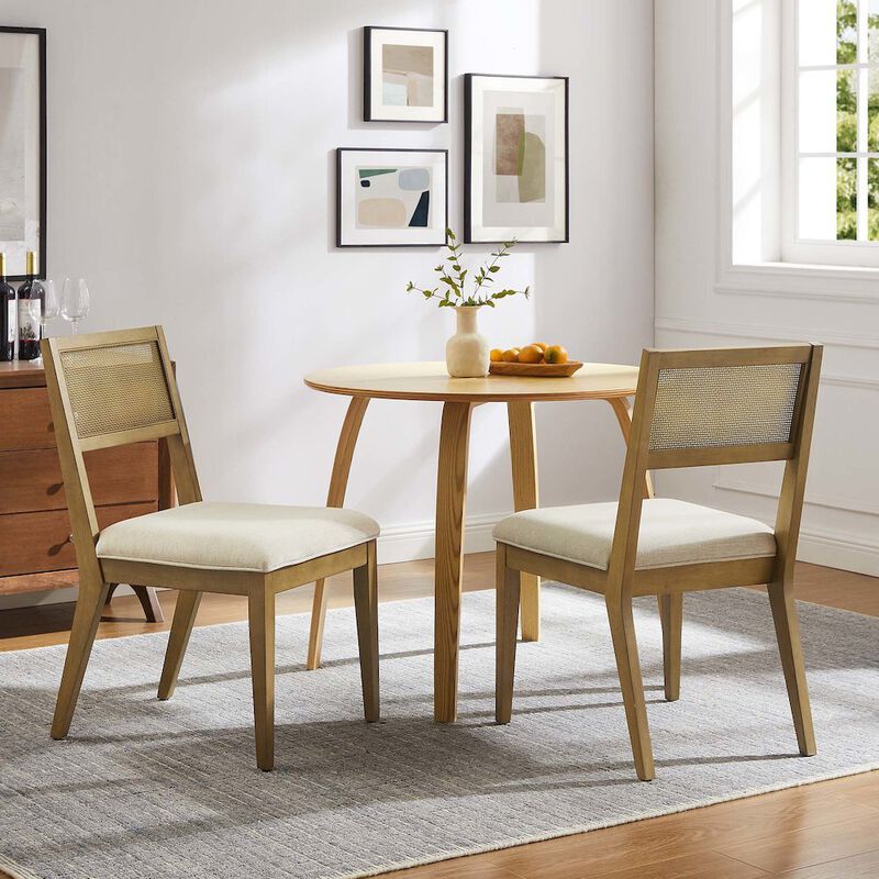 Nimba Faux Rattan Fabric Dining Chairs Set of 2 image number 9
