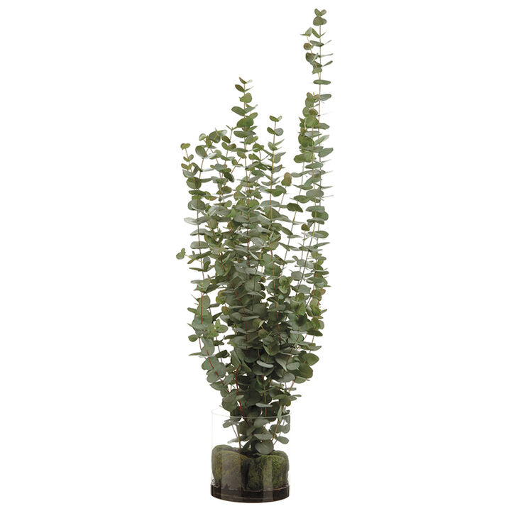 56" Eucalyptus In Vase