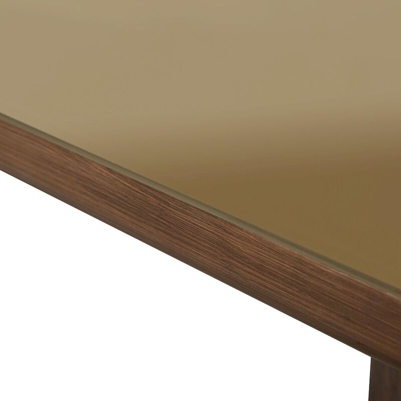 TOV Furniture Oani Walnut and Glass Long Dining Table