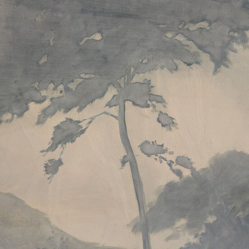 Canopy By Chelsea Fly