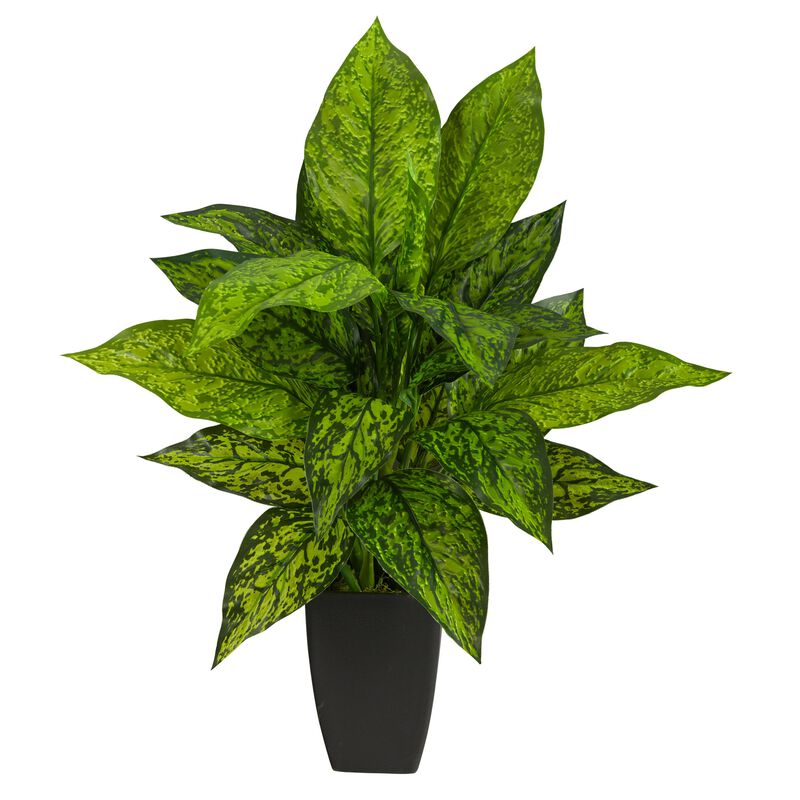 Hivvago 21" Dieffenbachia Artificial Plant in Black Planter