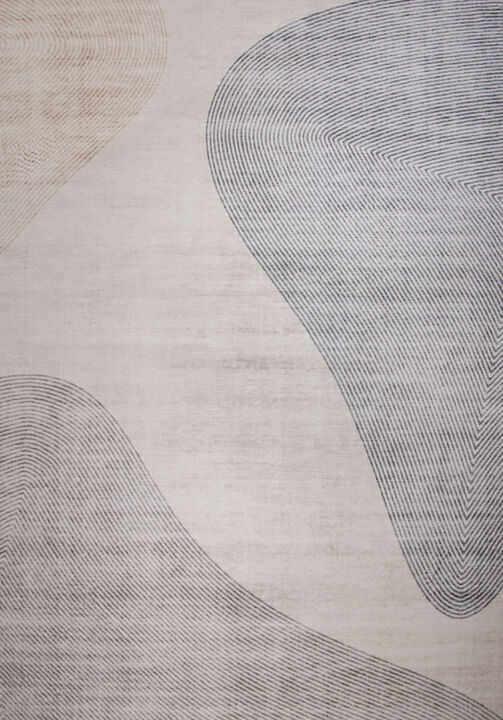 HomeRoots Abstract Distressed Area Rug