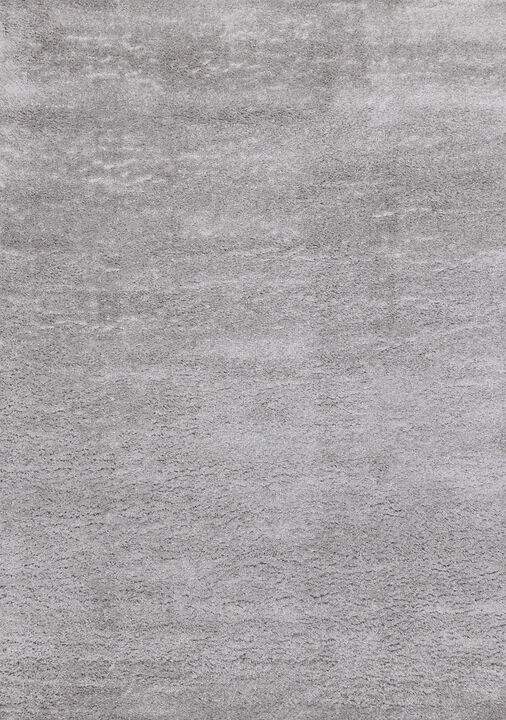 HomeRoots Area Rug