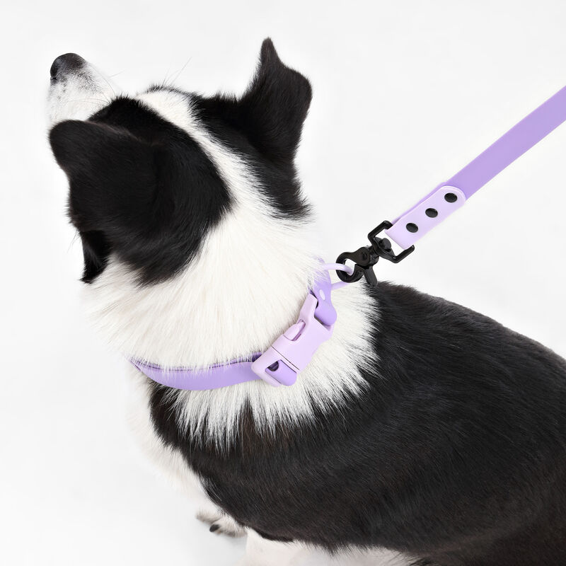 Luna Adjustable 6-in-1 Waterproof Hands-Free Leash and Collar with LED Flashlight