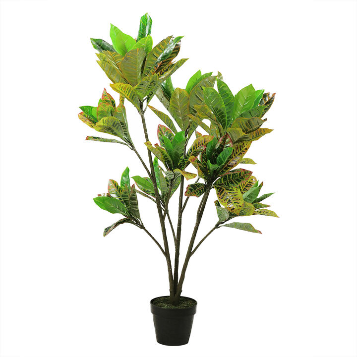 45.75" Green and Black Artificial Croton Tree with Variegated Leaves