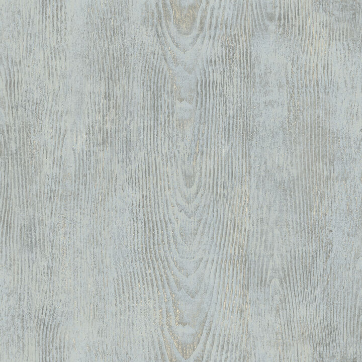 Drifter Light Blue Wood Wallpaper