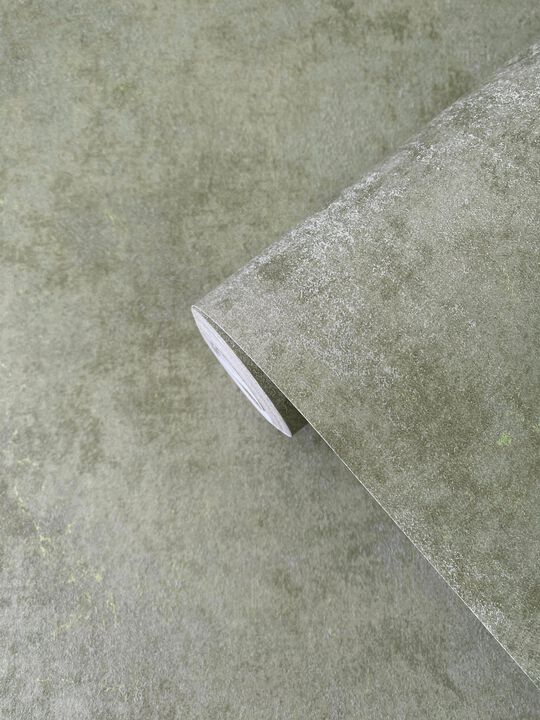 Elegance Metallic Plaster Silver Grey Wallpaper AM22009-3