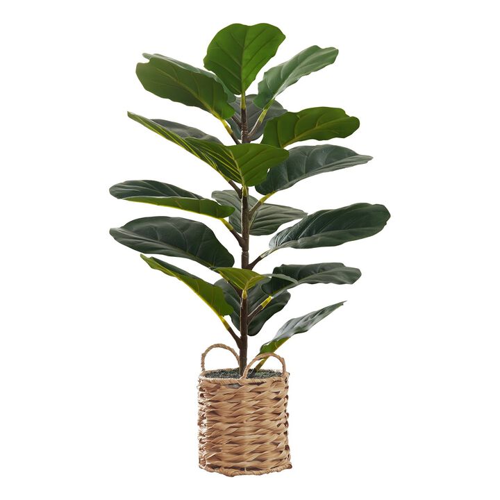 Monarch Specialties I 9505 - Artificial Plant, 28" Tall, Fiddle Tree, Indoor, Faux, Fake, Floor, Greenery, Potted, Real Touch, Decorative, Green Leaves, Beige Woven Basket