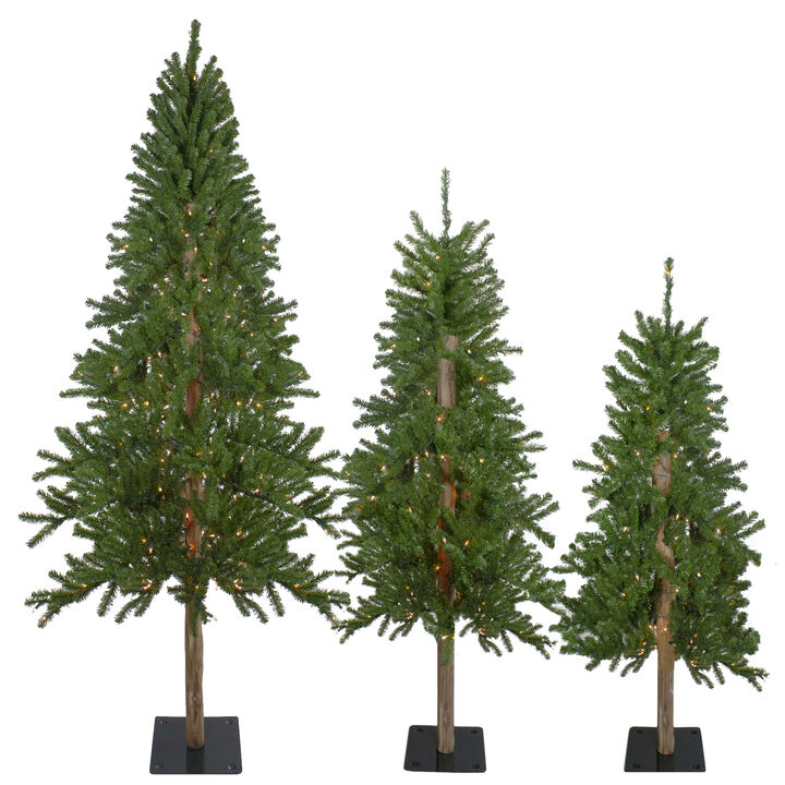 Set of 3 Pre-Lit Slim Alpine Artificial Christmas Trees 6' - Clear Lights