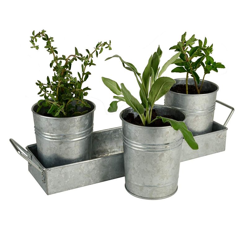 Galvanized Set of Three Planters With Tray, Gray-Benzara