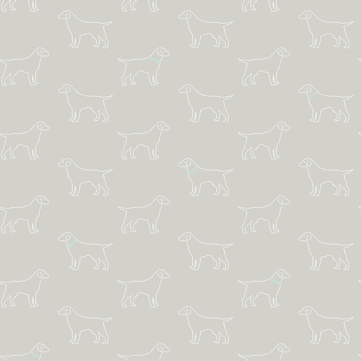 Yoop Grey Dog Wallpaper