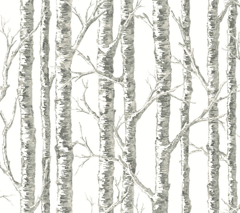 Paper Birch White & Grey Wallpaper image number 0