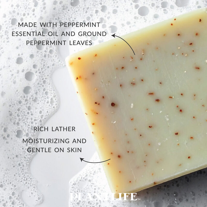 Plantlife Bar Soap - Peppermint 6 Pack image number 3