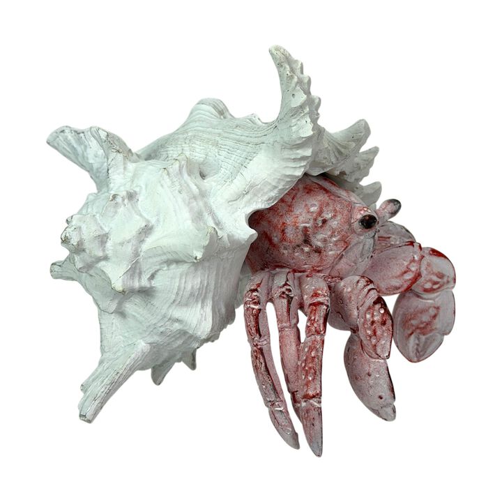 Resin Hermit Crab Statue Red Whitewashed Shell Coastal Figurine 525 In