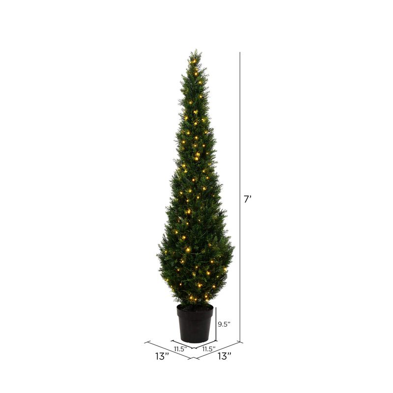 Cedar Tree UV LED image number 3