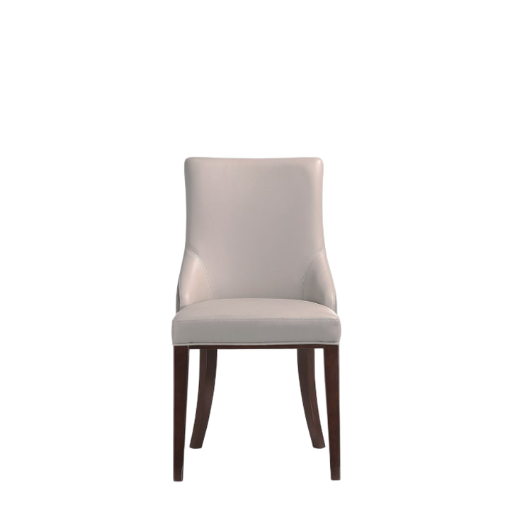 Shubert Gray Dining Chairs (Set of 2)