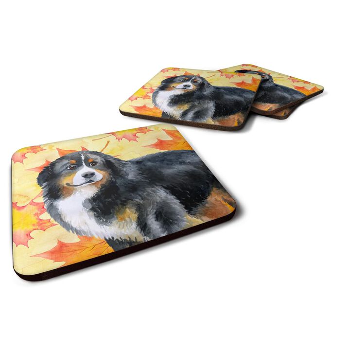 Caroline's Treasures Bernese Mountain Dog Fall Decorative coasters, Multicolor