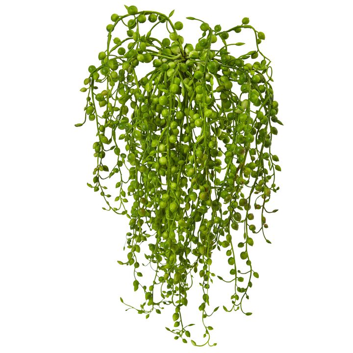 HomPlanti Senecio Artificial Succulent (Set of 3)