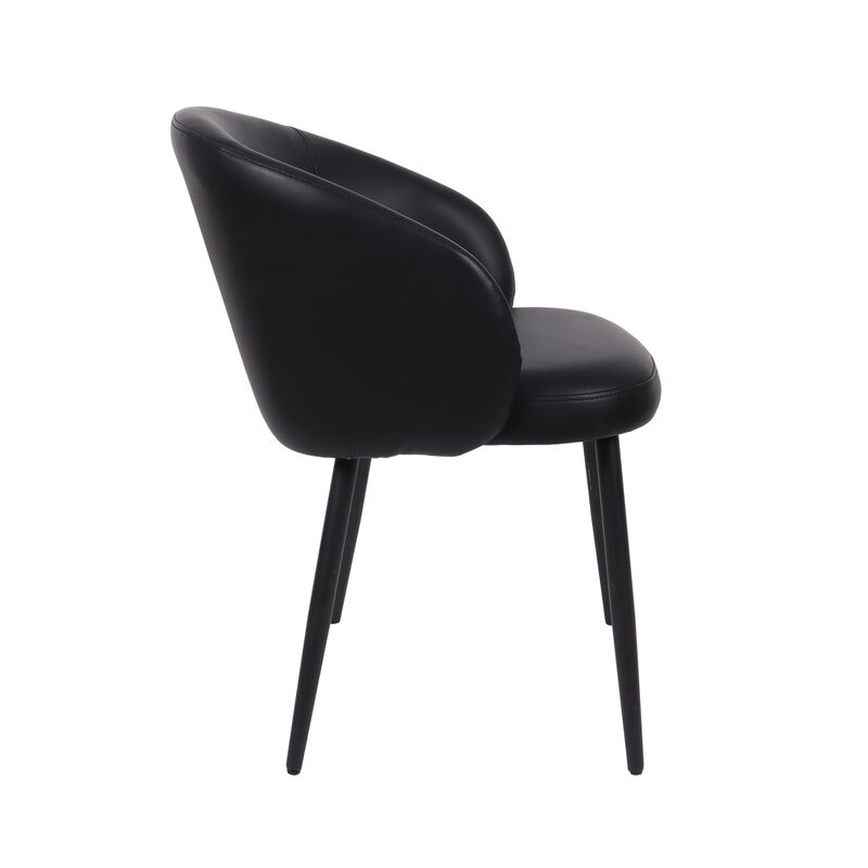 Looma Black Side Chair (Set of 2) image number 1
