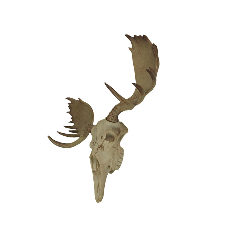 Large Lifelike Bull Moose Skull Hanging Wildlife Decor Statue image number 3