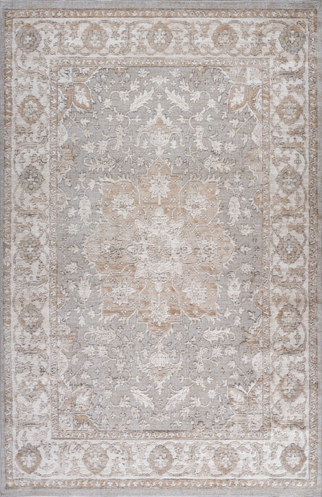 HomeRoots Oriental Distressed Area Rug