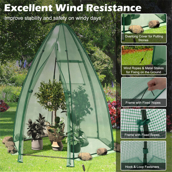 Portable Mini Greenhouse for Gardening Seedlings and Flowers