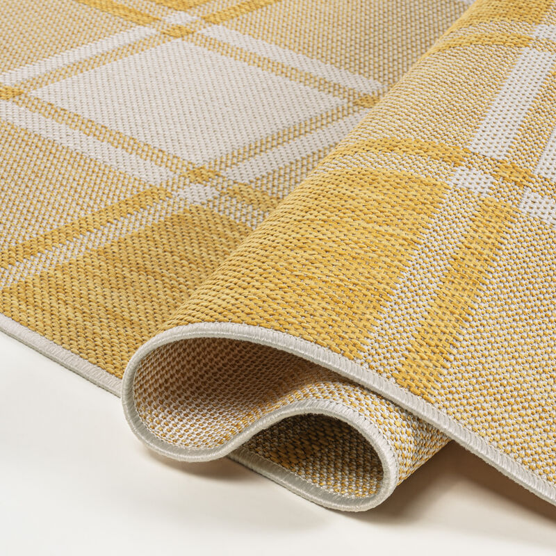 Sabine Traditional Farmhouse Bold Gingham Indoor/Outdoor Area Rug