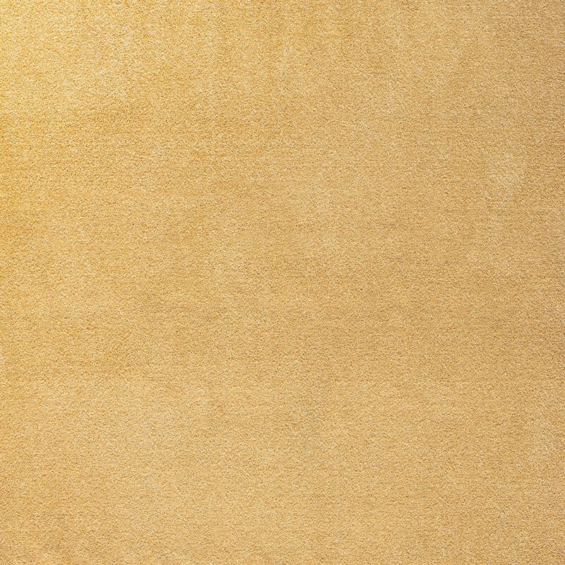 Haze Solid Low Pile Area Rug