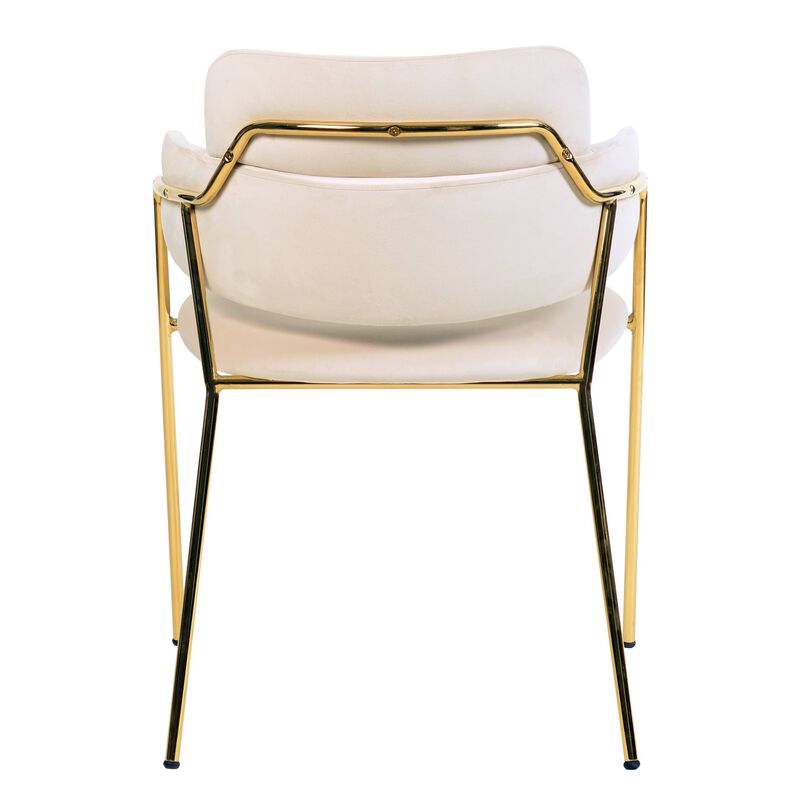 Axis Upholstered Dining Chairs Curved Open-Back & Gold Legs Set of 2 in