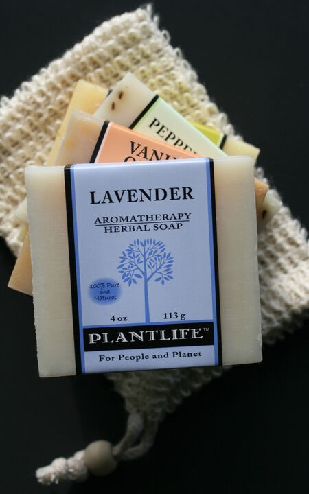 Plantlife Bar Soap - Lavender 6 Pack