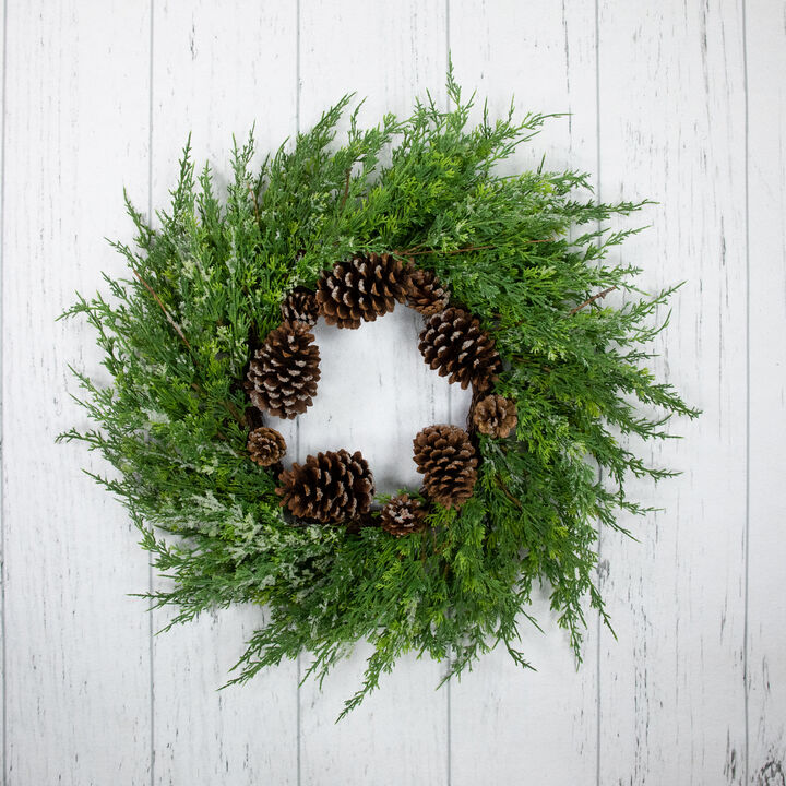 Frosted Cedar and Pine Cone Artificial Christmas Wreath  26-Inch  Unlit