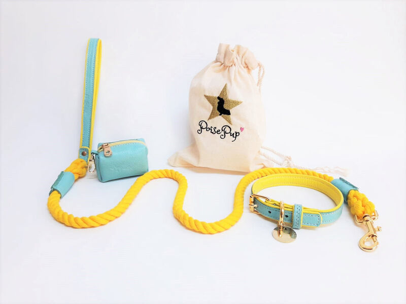 POISEPUP Genuine Leather Dog Collar - Handmade, Adjustable & Soft - Teal | Yellow