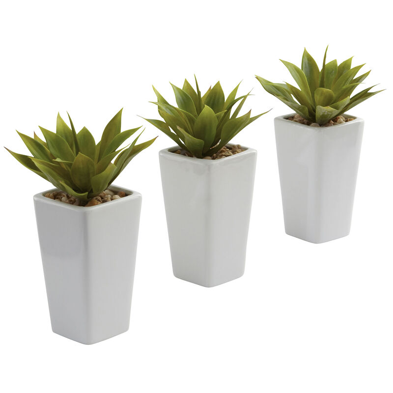 Hivvago Mini Agave w/ Planter (Set of 3) White