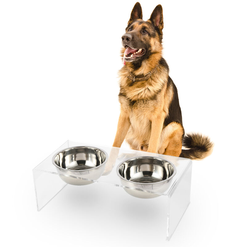Keaton Modern Acrylic Rectangular Elevated Pet Feeder with Stainless Steel Bowls