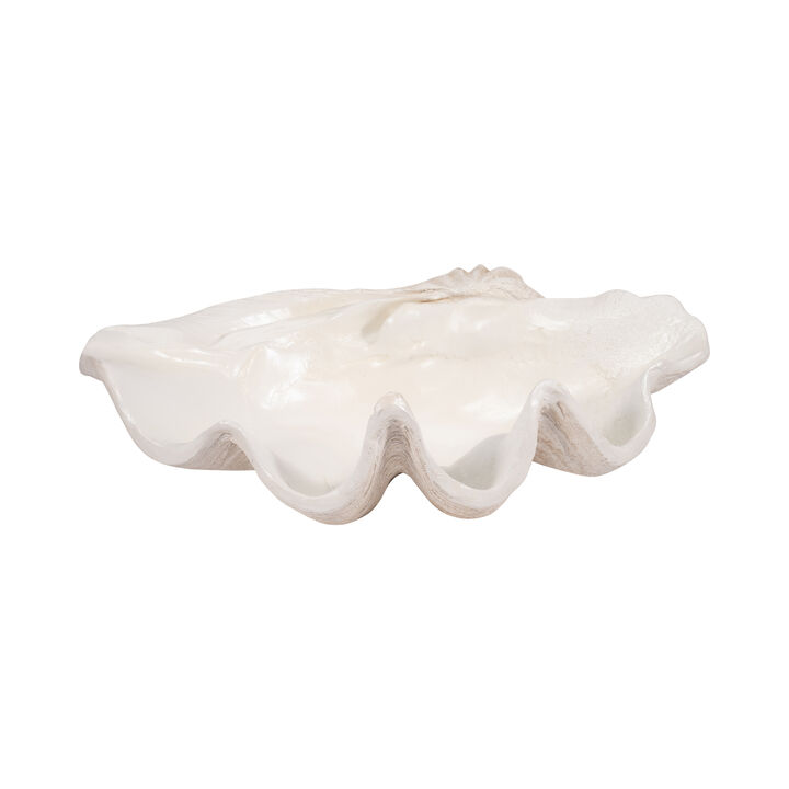 25" Pearlized Clam Shell Bowl